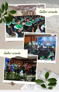 disuda stikes st. elisabeth keuskupan maumere